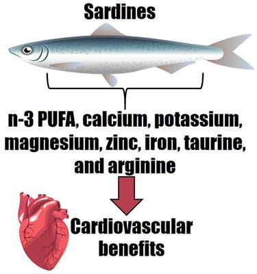 Frontiers Eating more sardines instead of fish oil